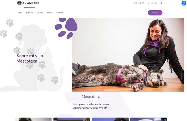 Diseño web Dovo en Aranda de Duero