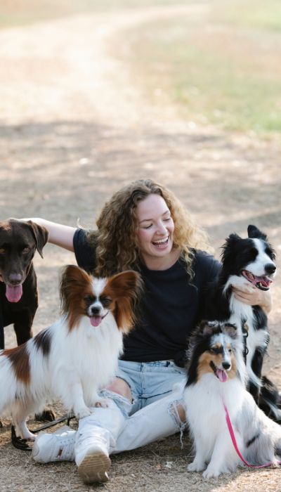 Diseño de pagina web en Aranda de Duero animales