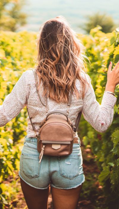 Diseño de pagina web en Aranda de Duero para bodegas